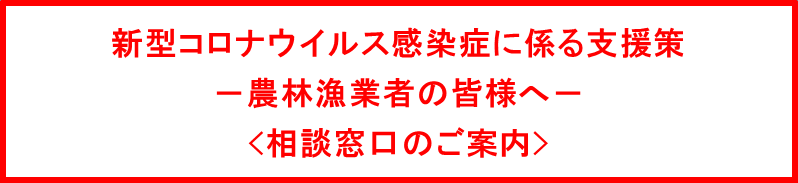 コロナ入口3