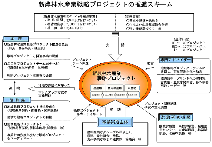 推進スキーム