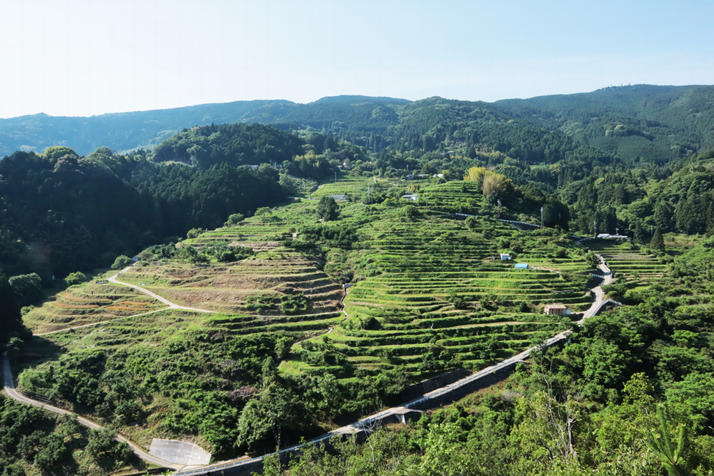 中田の棚田