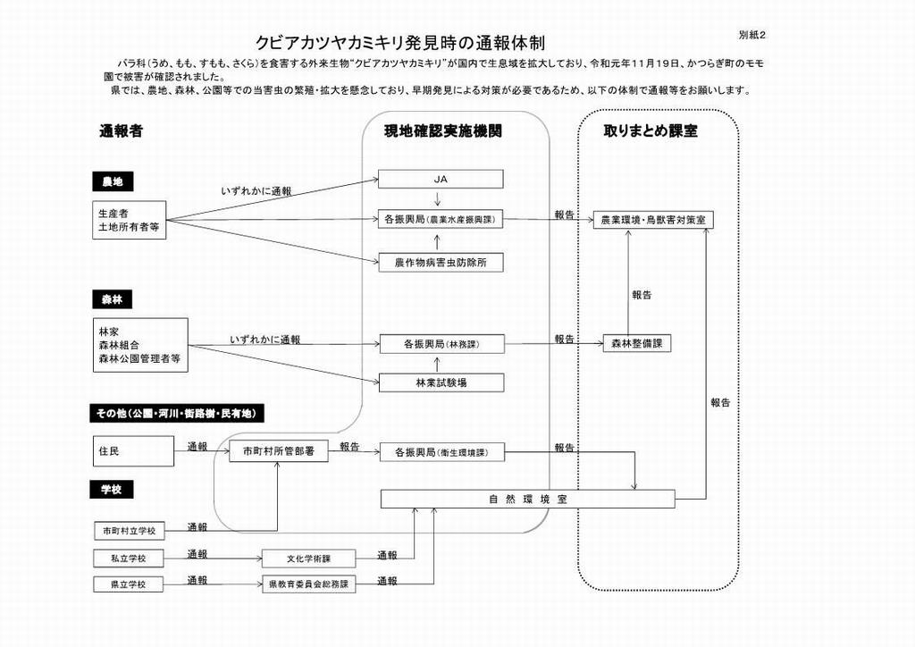 通報体制