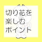 切り花を楽しむポイント