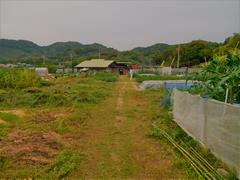 有田川町ふれあい農園（奥）