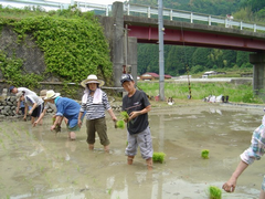 作業体験