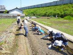 大日伊達農園