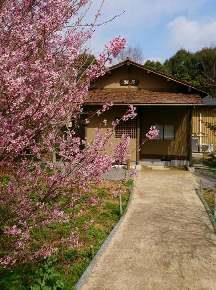 桜庵の写真
