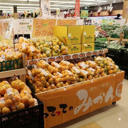 よってって新宮店 店内1