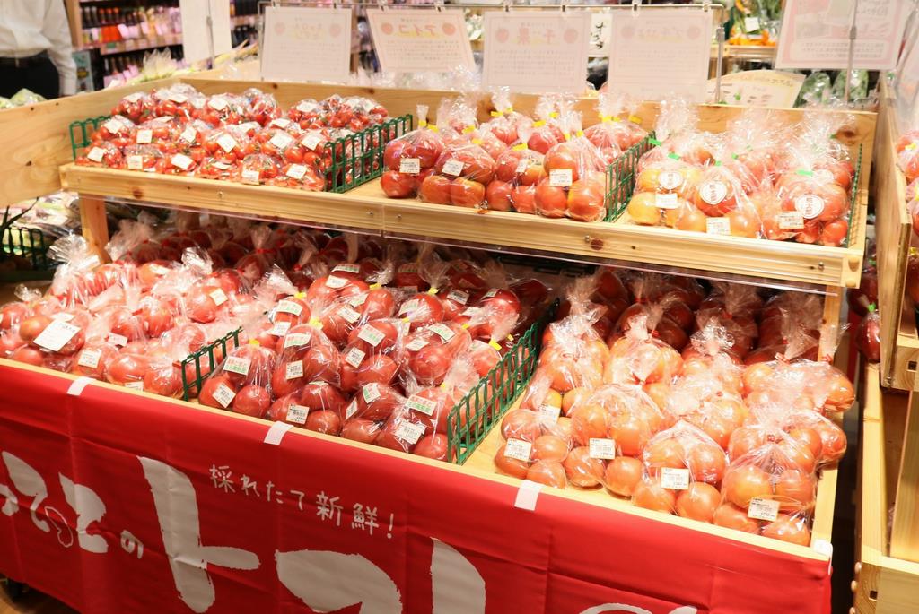 よってって新宮店 店内1