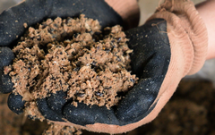 ecofeed