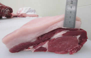 Ａランクのイノシシ肉の写真