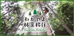 わかやま林業移住