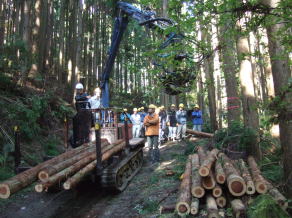 林業労働力の確保や育成の写真