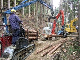 林業労働力の確保や育成の写真