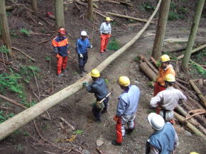 林業労働力の確保や育成の写真