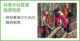林業・木材産業融資制度の画像