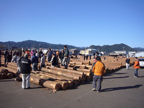 新宮原木市場の写真