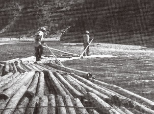 河川を活用した木材の輸送（筏師）の写真