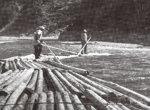 河川を活用した木材の輸送(筏師)の写真