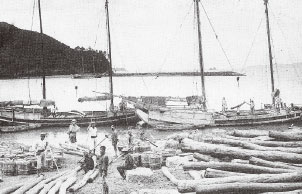 広村（広浜）における松丸太の船積みの写真