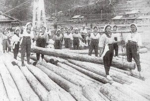 昭和13年の網場の木場作業の写真
