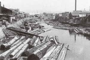 水軒川の貯木風景（和歌山市）の写真