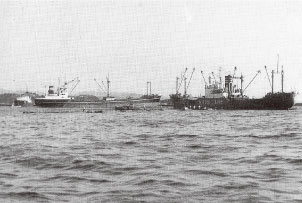 外材専用船（和歌山港）の写真