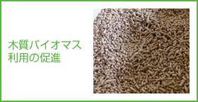 木質バイオマス利用の促進の画像