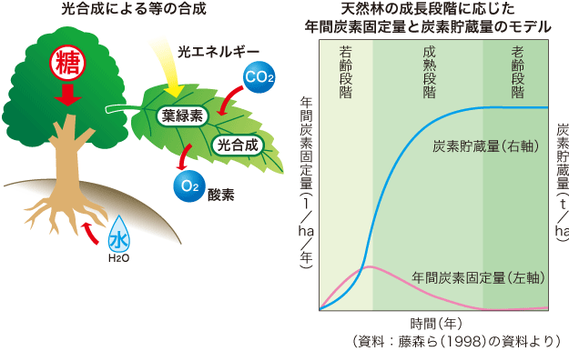 地球温暖化防止と木材利用 和歌山県