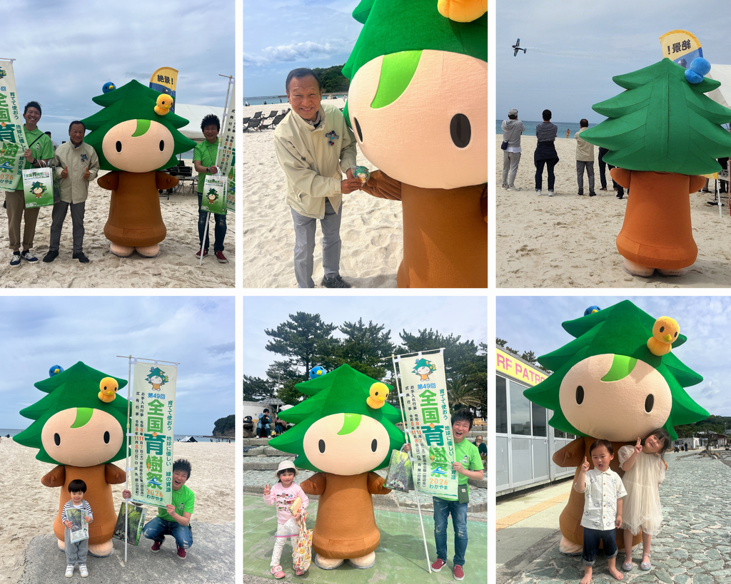 南紀白浜エアーショー