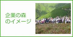 企業の森取り組みイメージのページにジャンプ