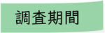 調査期間