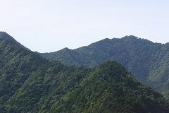 大塔山周辺山林（古座川町）