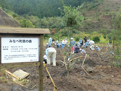 市町村民の森