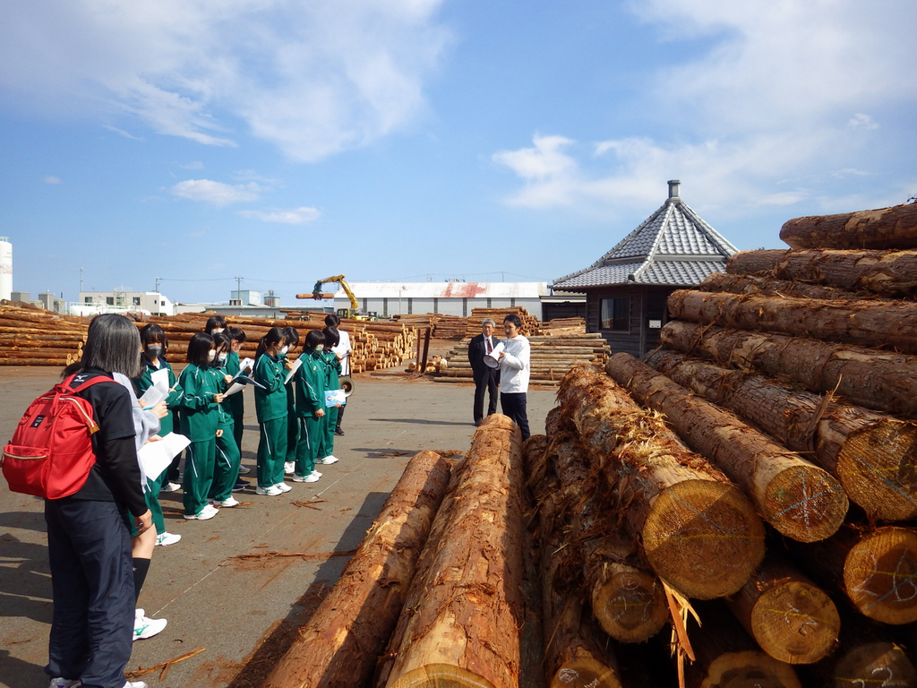 木材市場見学