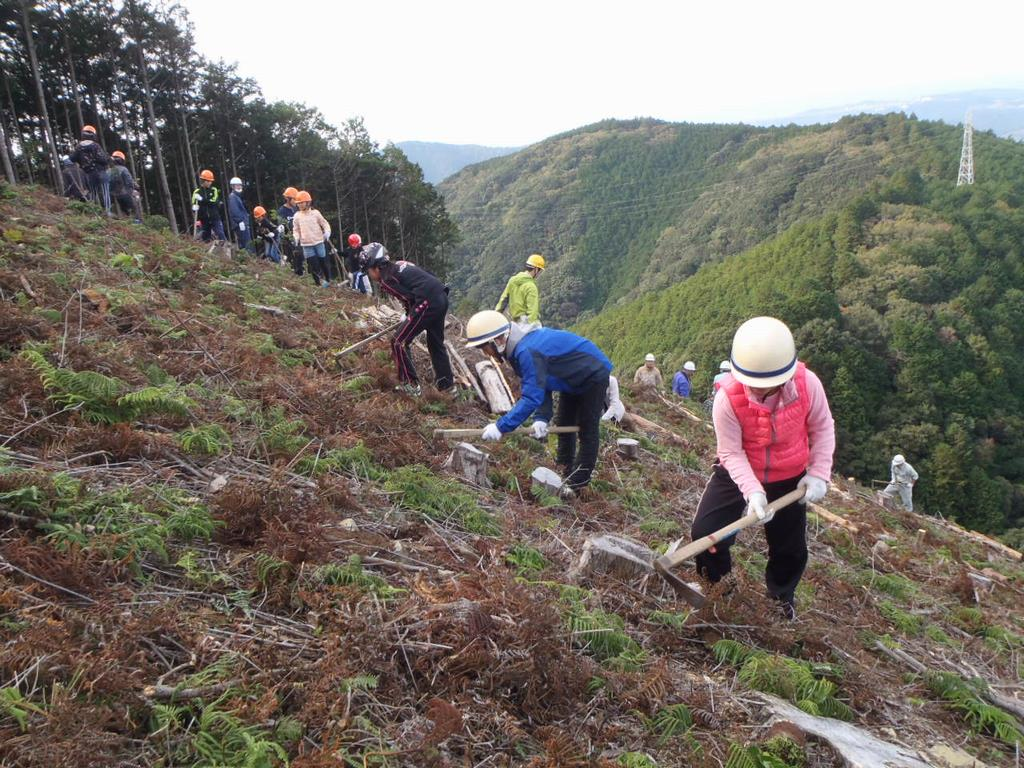 植樹活動の様子