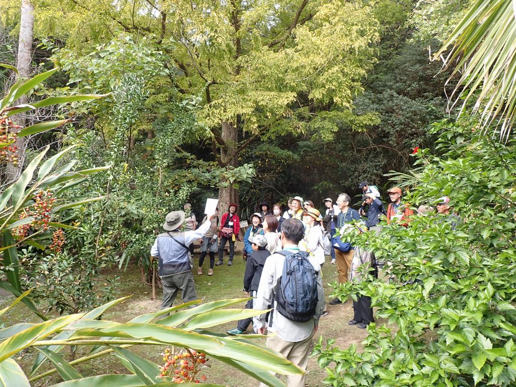 県民緑育2