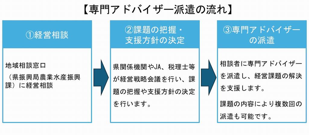 専門アドバイザー派遣の流れ