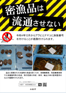 アワビ・ナマコ