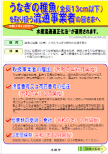 【取扱事業者】うなぎ稚魚