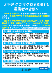 【採捕者】太平洋クロマグロ大型魚