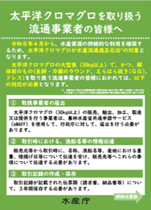 【流通事業者】太平洋クロマグロ大型魚
