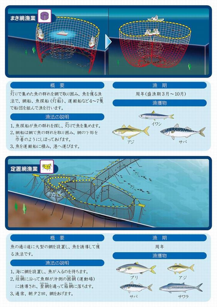 まき網・定置網