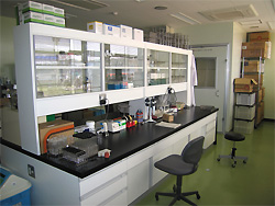 生物実験室の写真2
