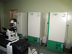 藻類培養室の写真