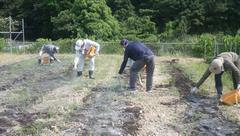 5．1号圃場の土壌消毒