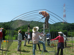 パイプハウス建設中の写真その1