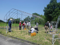 パイプハウス建設中の写真その2