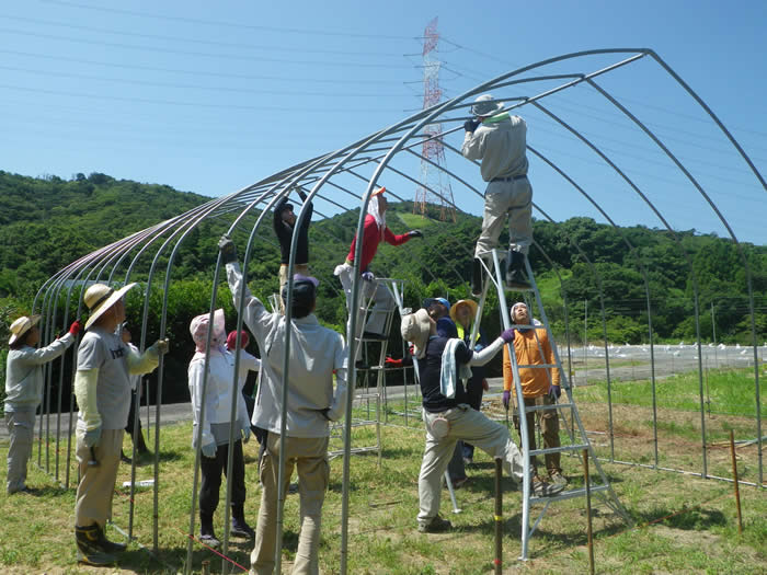 パイプハウス建設の画像2