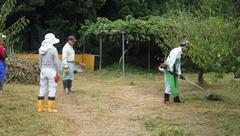 ウメ園内での草払い機操作指導