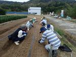 カタログによるストックの説明