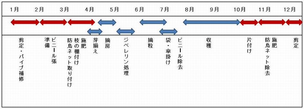 スケジュール